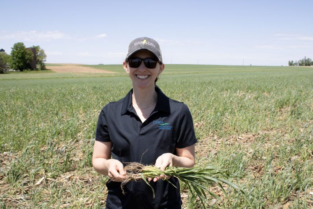 woman holding rye cover crop in field