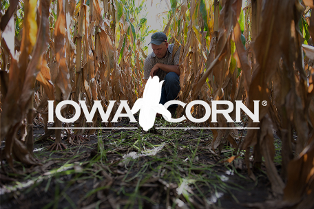Iowa Corn Growers Association