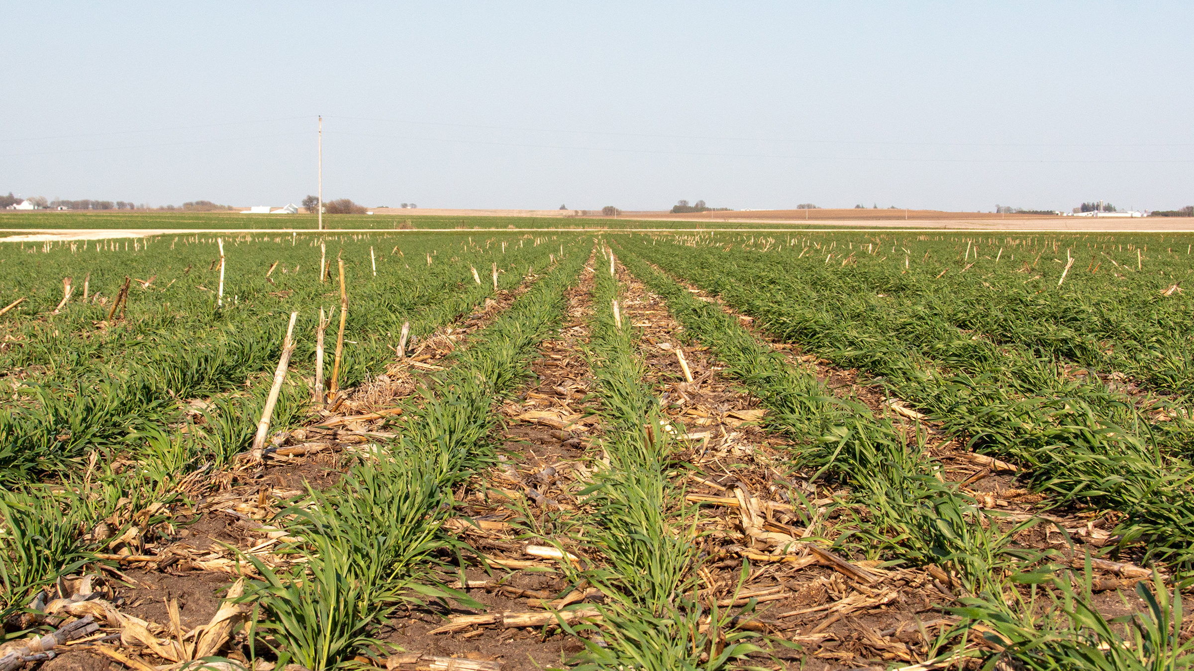 Farmer leadership shines in NW Iowa