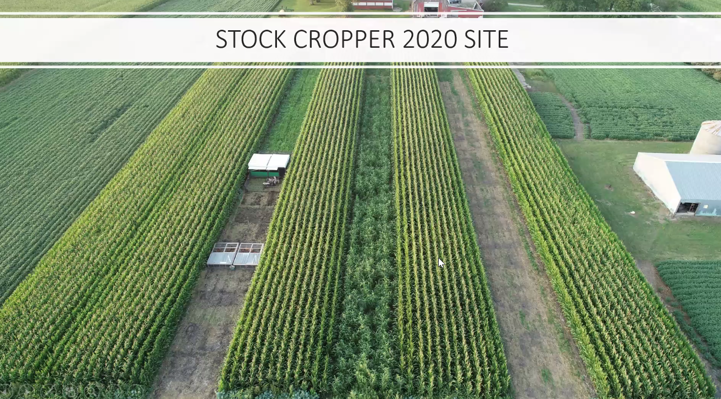 Stock Cropper 2020 Site. Stock Cropper aerial view Mid August.