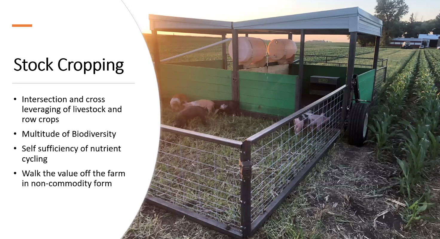 Stock Cropping benefits. Four main benefits of stock cropping.